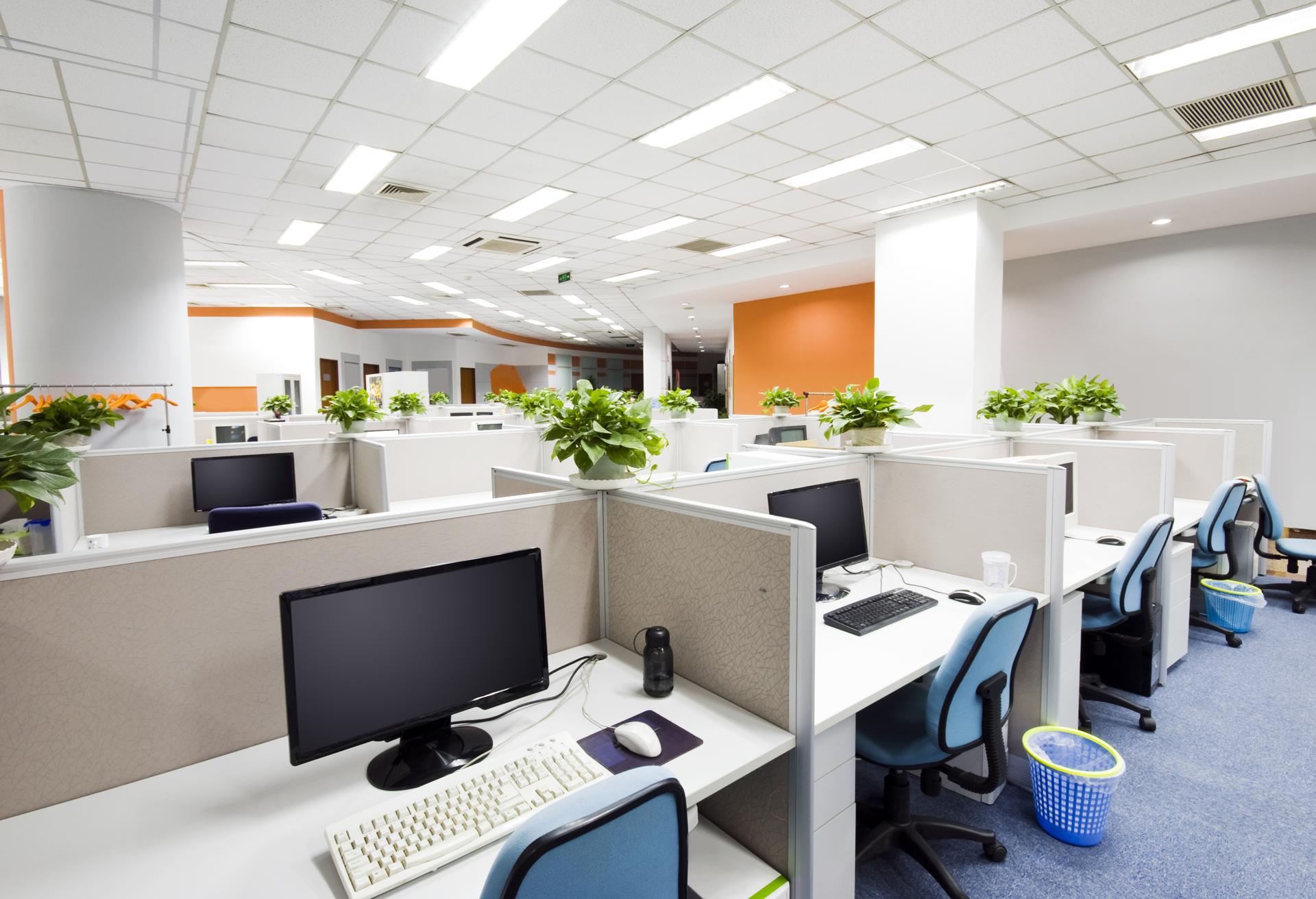 Professional Commercial Cleaning Services in Sutherland Shire